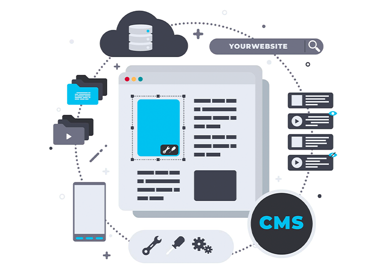 CMSWordPress