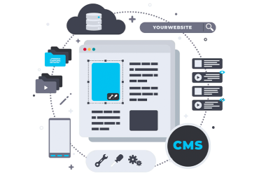 CMSWordPress